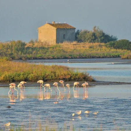 شقة Ginestrino 11a *