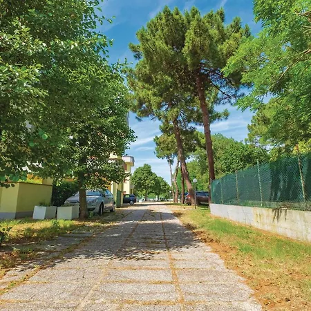Appartement Ginestrino 11a *