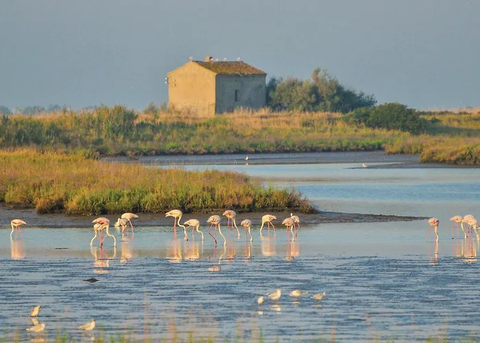 Lejlighed Ginestrino 11a *